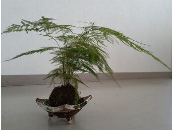 須賀川手もみ整体院の写真/激戦区での経験を積んできたオーナーの施術☆全身をゆっくりほぐして身体を楽に調整&日常の疲れから解放!