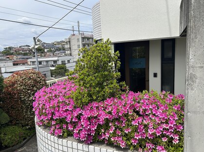 メイク(Make)の写真