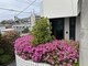 メイク(Make)の写真