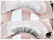 バニーラッシュ(Bunny Lash)/【マツエクデザイン】