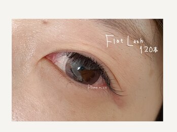 プルームミコ(Plume mico)/