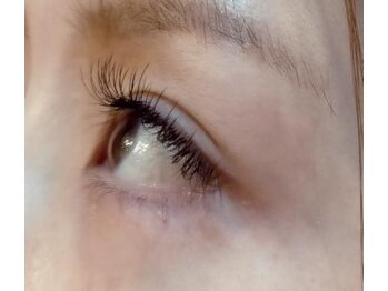 シッポ(Sippo)/ラッシュリフトフラットラッシュ