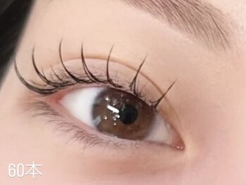 ラッシュ(LASH)/フラットラッシュ/60本