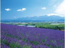 プチローズ/アロマの香りでホッと一息サロン