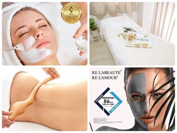 ジェルベーラ(Gerbera)