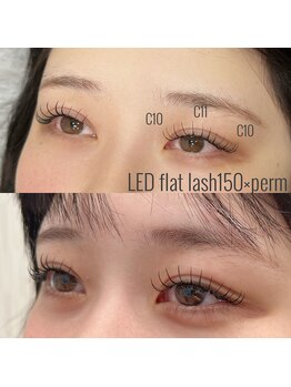 メルシー 青山店(Merci)/LED flatlash150×perm