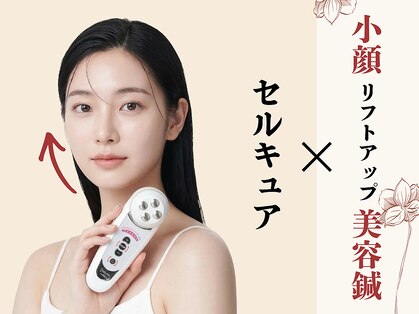 アキュレ(Acure)の写真