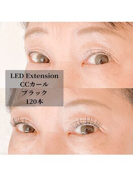 レイズ 元住吉(Raise)/☆高持続LEDエクステ120本☆