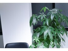 クレア 京都四条烏丸店(CREA)/店内写真