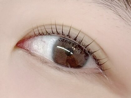 ベルーチェ(BELUCE)の写真