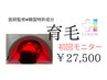 【モニター募集！】韓国育毛促進　1回