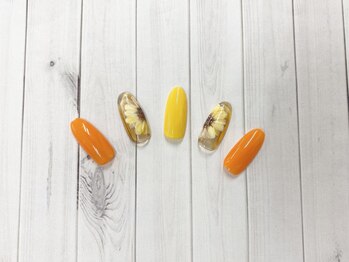 ティーエヌ イトーヨーカドー能見台店/季節の定額6600円コース