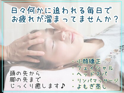 ムーンシードの写真