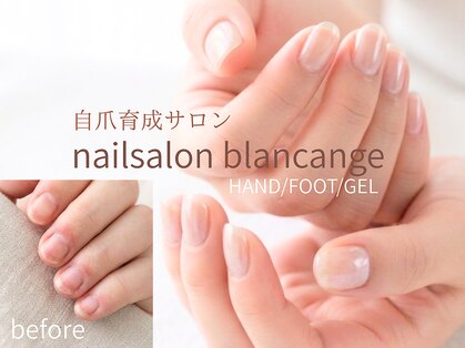 ネイルサロン ブランアンジュ(Blanc Ange)の写真