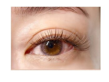 リナータ バイ シアン(Rinata by Cyan)/ブラウンフラットラッシュ/140本