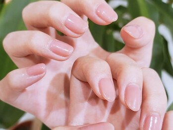 リザボーテ(Liza beate)/ワンカラー