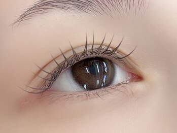 リトル(Litll)/フラットラッシュカラー