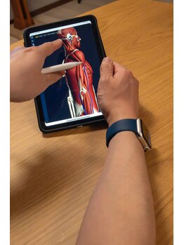 鍼灸マッサージ院 アルフィーネ(alfine)/施術前説明（原因と施術法説明）