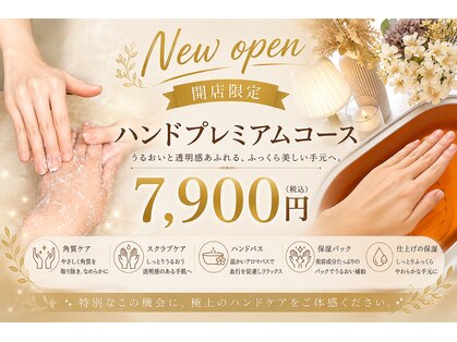 ハンナ(HanNa)の写真
