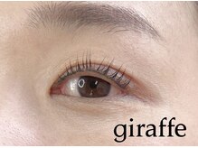 ジラフ(giraffe)/【パリジェンヌラッシュリフト】