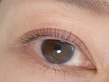 プルームミコ(Plume mico)/