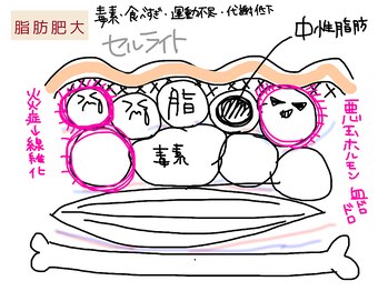 ツーアップ(2up)/~施術の流れ~4.解説