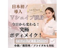 ルピナス ヒサヤ(LUPINUS hisaya)