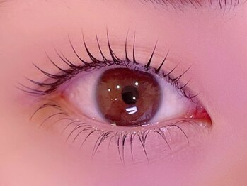 シル シェノン(cil shenon)/上下まつげパーマ