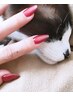 【Hand】どのクーポンを選んだらいいのか分からない方はコチラ