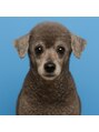 nail salon ONME．【オンミー】 シルバーのトイプードルを飼っています♪