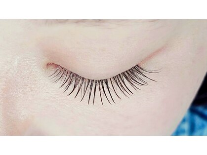アンアイラッシュ(Ann Eyelash)の写真