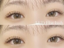 プラス サード(Plus 3rd)/LED flat lash