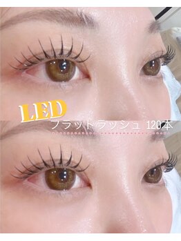 ベージュ トウキョウ 上前津店(BEIGE TOKYO)/LEDフラットラッシュ120本