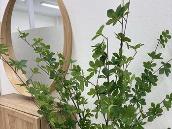 アンド 上石神井(And.)/緑もあります♪