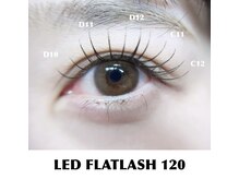 ディート(dito)の雰囲気（LEDマツエクで長持ちしてヨレづらく可愛いをキープ）