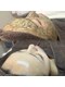 ラウレア(Laule’an)の写真/植物幹細胞成分が肌細胞を活性化♪古い角質や汚れを分解除去して輝くハリツヤ肌へ◎