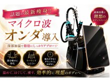 アリュールビューティー 下高井戸店(ALLURE BEAUTY)の雰囲気（話題の最新痩身マイクロ波オンダ導入☆速攻痩身と小顔ケア♪）