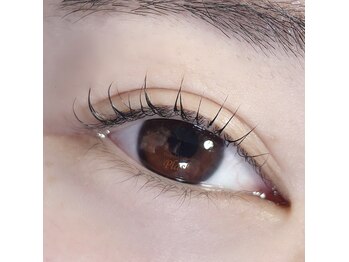 プラッシュ(Plash)