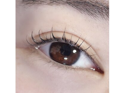 プラッシュ(Plash)の写真