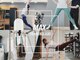 マックストレーニングラボ(MAX TRAININGLABO)の写真