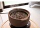 オハギ(Ohagi)の写真/【国産無農薬・無添加よもぎ蒸し使用♪】モリンガ×よもぎの効果で代謝UP！溜まった老廃物をデトックス★