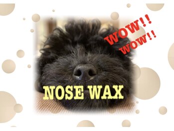 ブリリアンス(BRILLIANCE)/●NOSE WAX●