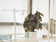 上質な空間で癒しのひと時をお過ごしいただけます♪