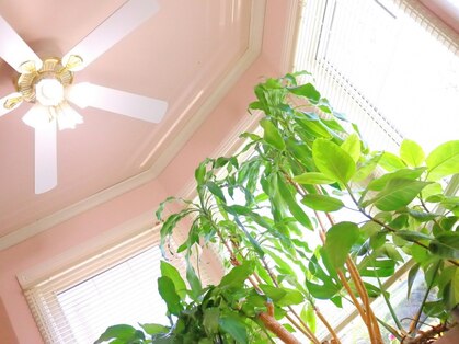 ヨノ(Yono)の写真