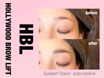 ソラネオリーブ 相模大野店(sola neolive)/【HBL】 /眉毛/まつ毛パーマ