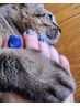 【Foot】どのクーポンを選んだらいいのか分からない方はコチラ