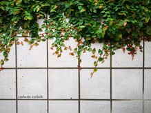 カシェット アイラッシュ(cachette eyelash)/店外にある植物です☆