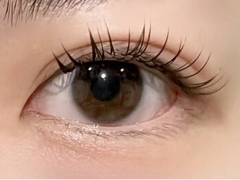 パキラ(Pachira)/コスパ最強まつエク