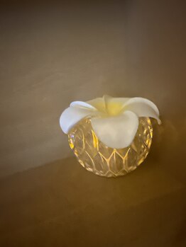 カラーリリー(calla lily)/こだわり