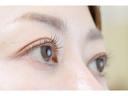 ミニョンアイラッシュ(mignon eyelash)の写真